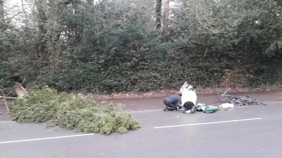 Dr. Mohammed Belal struck by tree